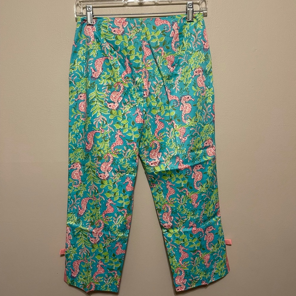 Bamboo Traders Capri Length Pants - Picture 2 of 6